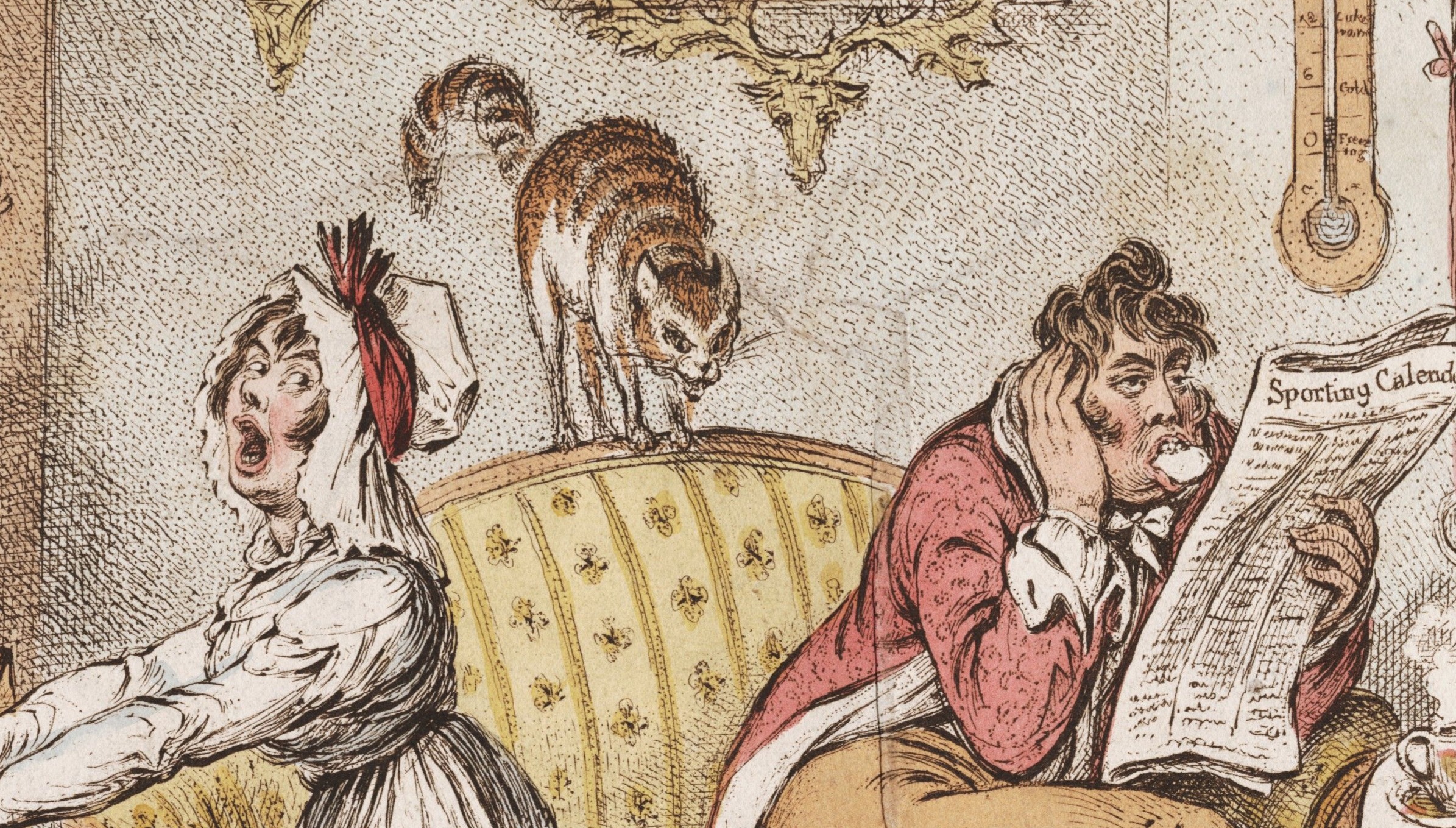angry little cat with distressed woman and nonplussed man