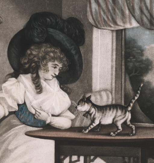 woman at table with cat