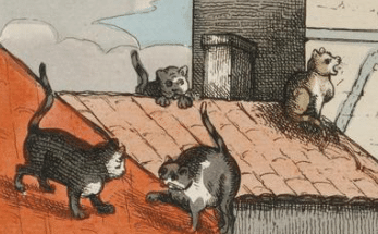 cats playing on a roof