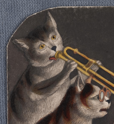 Cat playing trumpet